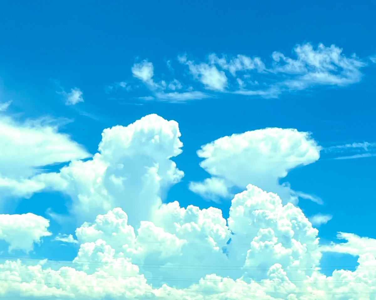 ソウルメイトやカルマメイトに出会うと過去のカルマの精算が行われる。
ツインレイは自分の見たくない世界を、向き合いたくない問題を年単位、数十年単位で向き合うように促す相手。

物質ではない精神世界について、感覚を研ぎ澄まさせる相手。
出会ったら最後忘れられなくなるし、何故か思い出す相手