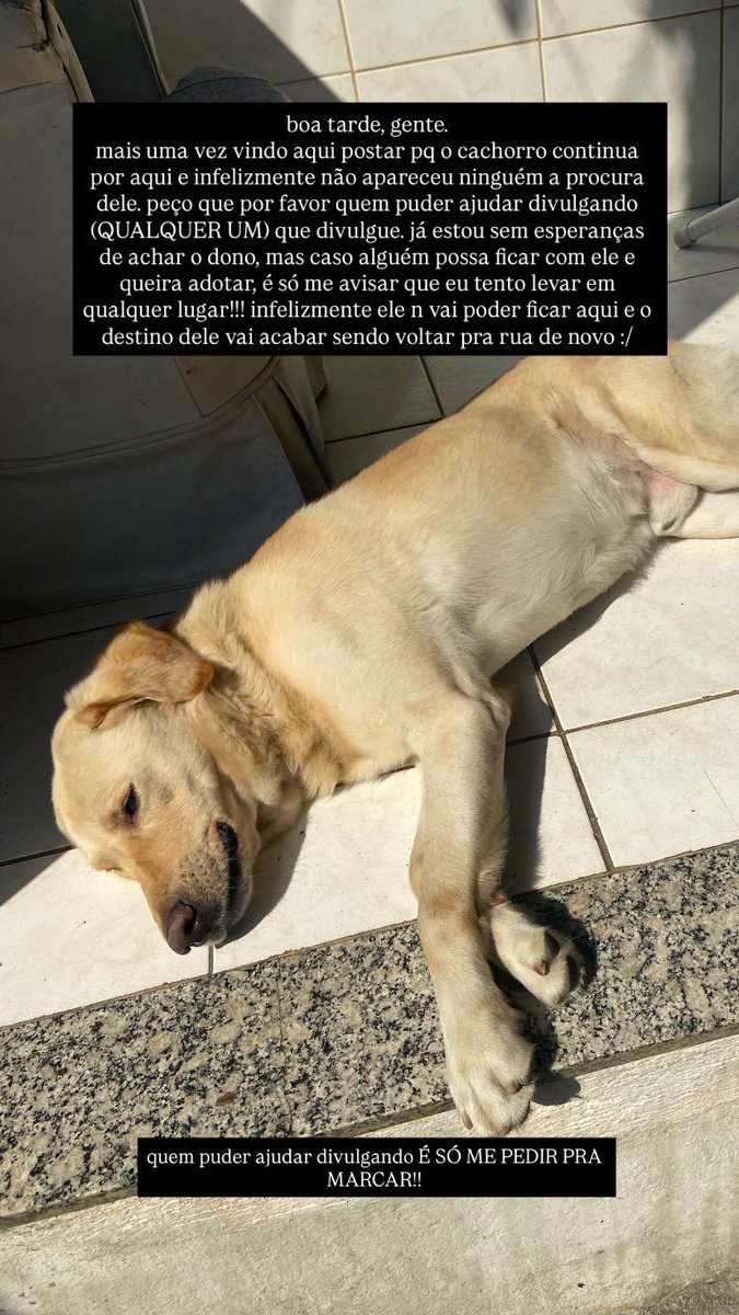 juannrr_'s tweet photo. GENTE, ME AJUDA A DIVULGAR!!
QUALQUER PESSOA AQUI QUE SEJA DO RJ, ME AJUDA A DIVULGAR!!! https://t.co/4FKuj2YbSt