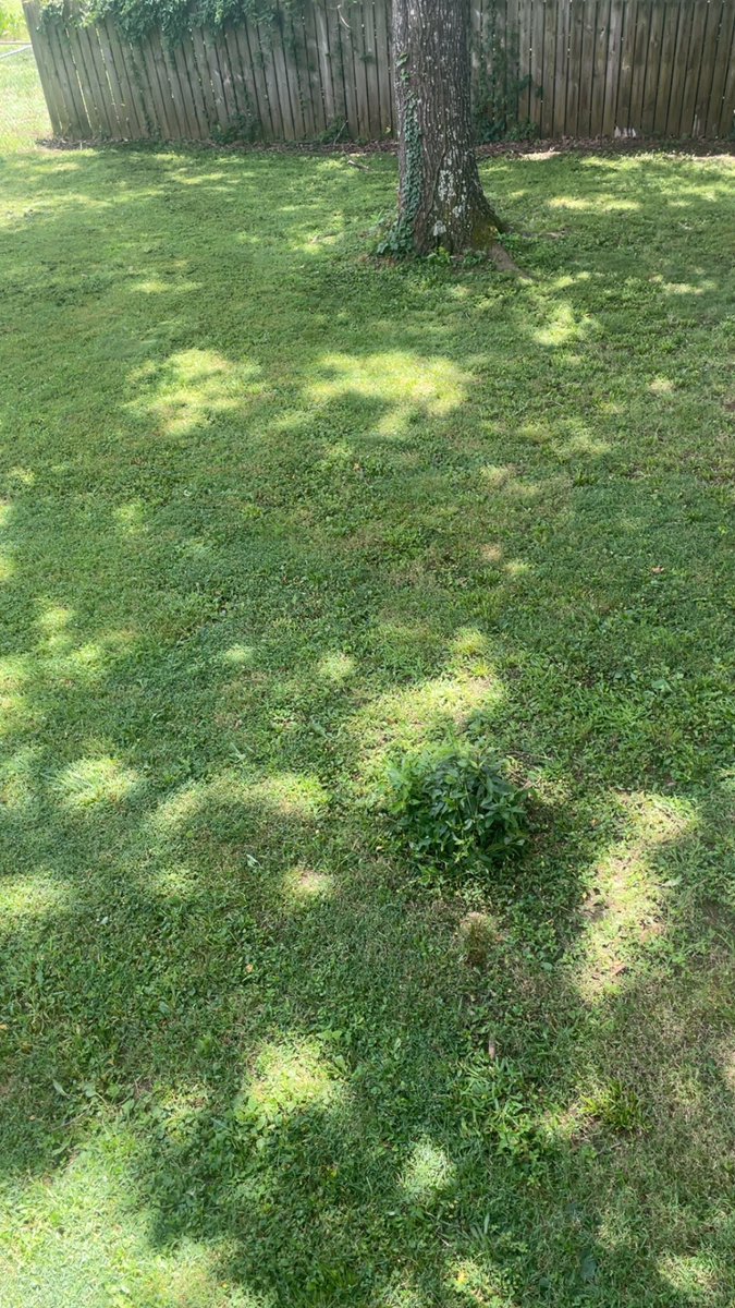 MadMax_MMA's tweet image. Grass: Mowed
Today: My bitch
Jake Matthews: Chidi Njokuani
#UFCNashville #UFC