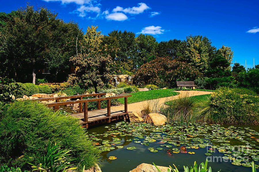 #Pretty #Botanical #Gardens #Dubbo #NSW #Australia 3 By Kaye Menner Print by Kaye Menner #Photography  Wide variety #Prints &amp; lovely #Products at:

bit.ly/3Q5hPNM

#homedecor  #giftideas #wallartforsale #Art #artforsale #BuyIntoArt #AYearForArt #Artist #FineArtAmerica