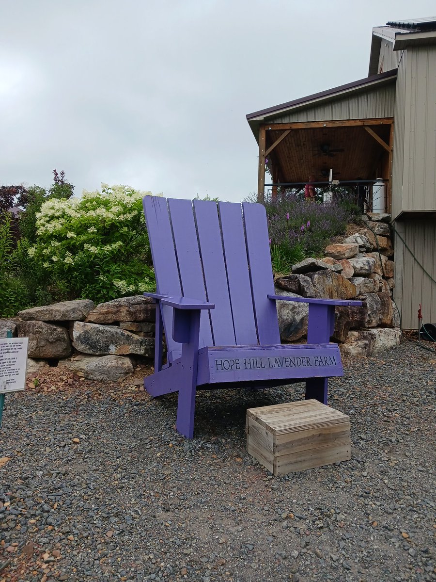 A few pictures from the Lavendar farm I visited this morning. As soon as you step out of the car, you can smell the lavender! And of course, I had some lavender ice cream 🍦 😋