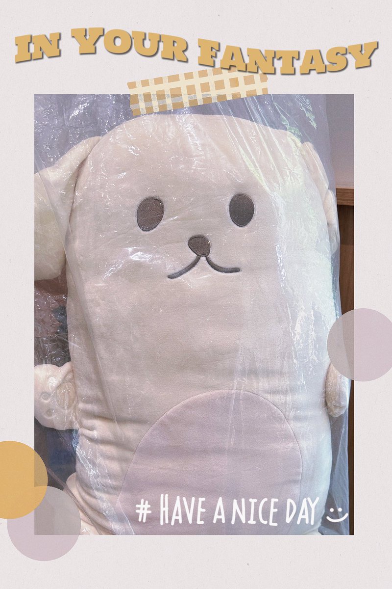 fany ^•ﻌ•^ฅ tweet media