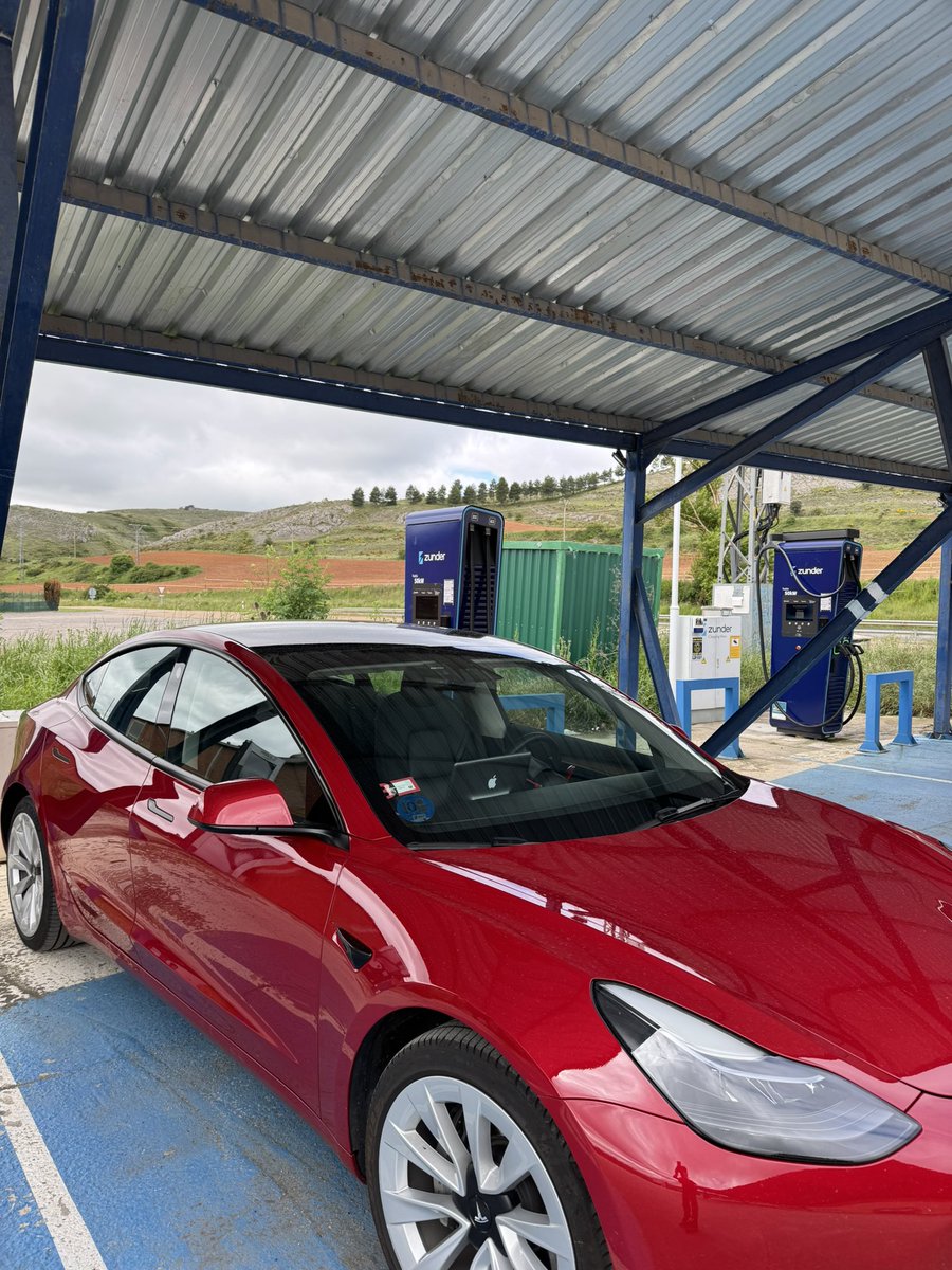 Flaviobriga tweet media