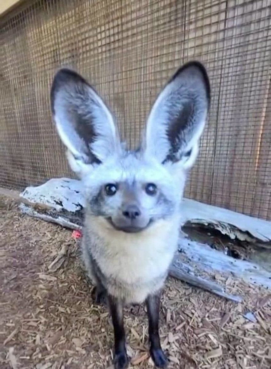 GoogieGage's tweet image. Just had cold brew for like the first time ever