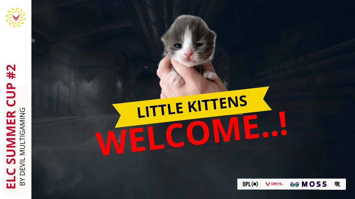 [𝗘𝗟𝗖 𝗦𝗨𝗠𝗠𝗘𝗥 𝗖𝗨𝗣 #𝟮 𝗕𝘆 <a href="/EsportDevils/">🔻 𝕯𝖊𝖛𝖎𝖑 𝕰𝖘𝖕𝖔𝖗𝖙 🔺️</a> ]

We will be announcing the teams present until 18th July.

Let's start with the <a href="/KittensHideout/">Little Kittens</a>

🎮Players:
🇬🇧 <a href="/G1ngyFPS/">G1ngy</a> 
🏴󠁧󠁢󠁳󠁣󠁴󠁿<a href="/Duffersssss/">Duffers.</a> 
🇫🇮 <a href="/REHTIR6/">REHTI</a> 
🏴󠁧󠁢󠁷󠁬󠁳󠁿<a href="/Jwoeuk/">Joe</a> 
🇮🇹 <a href="/CrustR6/">Crust 🇮🇹</a> 

Sub:
🇬🇧<a href="/spiritR6S/">spiritt</a> 

(1/5) #WeAreELC