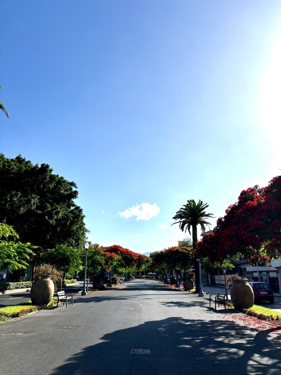 ElojodeSantaCruz (@elojodesc) on Twitter photo Rambla de las Tinajas, Santa Cruz de Tenerife ☀️☀️🌺🌺🌺
<a href="/EmocionesCan/">Emociones Canarias</a> <a href="/wandwoo/">Desde mi corazon</a> <a href="/elpaiscanario/">EL PAÍS CANARIO</a> <a href="/yconsumocanario/">Yo Consumo Canario 🇮🇨 🌴</a> <a href="/TeneriFeliz/">TeneriFeliz ☀️⛱️ ❤️</a> <a href="/VisitaVen/">Ven de Visita a Tenerife</a> <a href="/TenerifeCitizen/">Urbānitās.</a> <a href="/webtenerife/">Turismo De Tenerife</a> <a href="/CONTUNDENTEE/">Francisco Guerra Sandoval. 🏴</a> <a href="/de1969/">maría lapas</a> Rambla de las Tinajas, Santa Cruz de Tenerife ☀️☀️🌺🌺🌺
<a href="/EmocionesCan/">Emociones Canarias</a> <a href="/wandwoo/">Desde mi corazon</a> <a href="/elpaiscanario/">EL PAÍS CANARIO</a> <a href="/yconsumocanario/">Yo Consumo Canario 🇮🇨 🌴</a> <a href="/TeneriFeliz/">TeneriFeliz ☀️⛱️ ❤️</a> <a href="/VisitaVen/">Ven de Visita a Tenerife</a> <a href="/TenerifeCitizen/">Urbānitās.</a> <a href="/webtenerife/">Turismo De Tenerife</a> <a href="/CONTUNDENTEE/">Francisco Guerra Sandoval. 🏴</a> <a href="/de1969/">maría lapas</a>