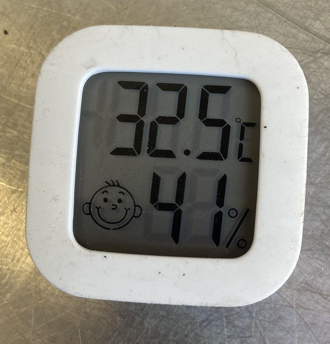 Hermitage park,
Helensburgh, Argyll &amp; Bute 
Hot stuff today 🥵 
<a href="/SeanBattyTV/">Sean Batty</a> <a href="/argyllandbute/">Argyll and Bute Council</a> 
#abplace2be #scottishweather