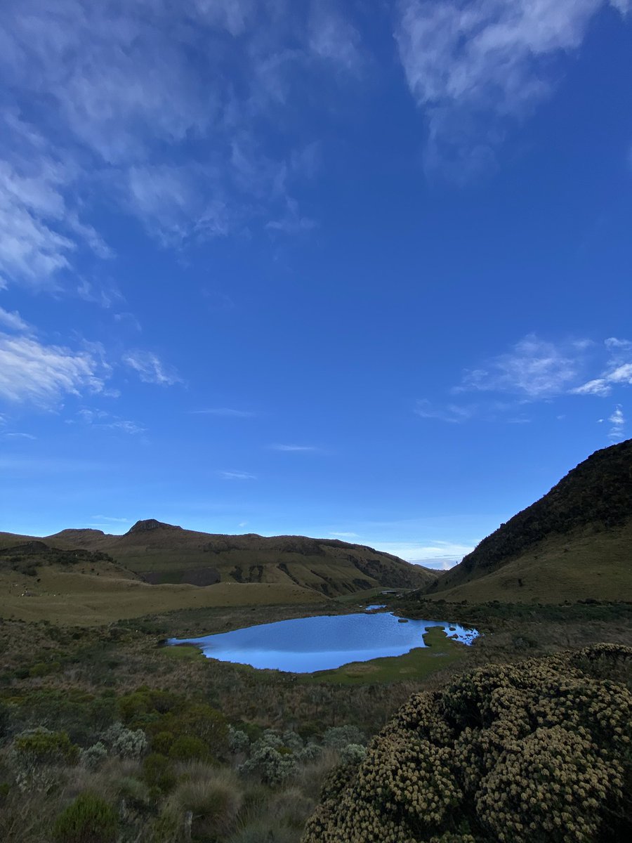 JanelleBiology's tweet photo. Laguna Negra, Caldas https://t.co/639Wca7YN6