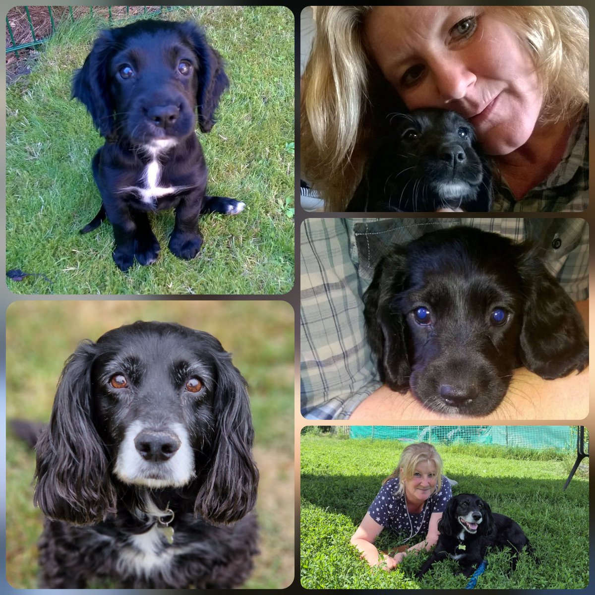 Precies 10 jaar geleden wandelde deze meer dan schattige kleine meid ons leven in! En nog altijd even lief, knap en schattig! 💖 
#Pip #HouZoveelVanHaar