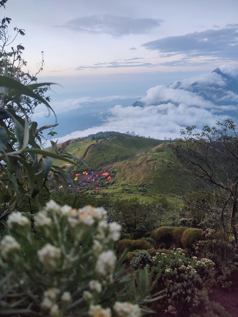 Ruter_98's tweet photo. #merbabu #mountain https://t.co/wQT1dxQzGo