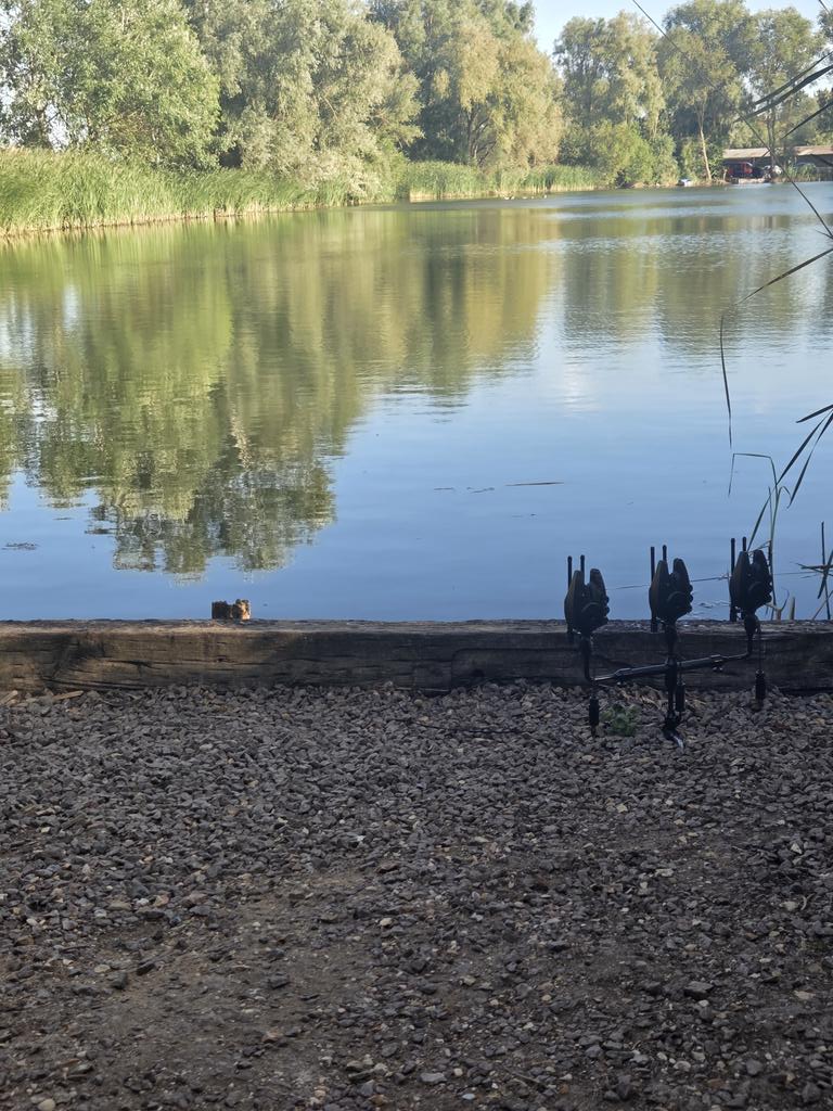 Finally started to cool down .