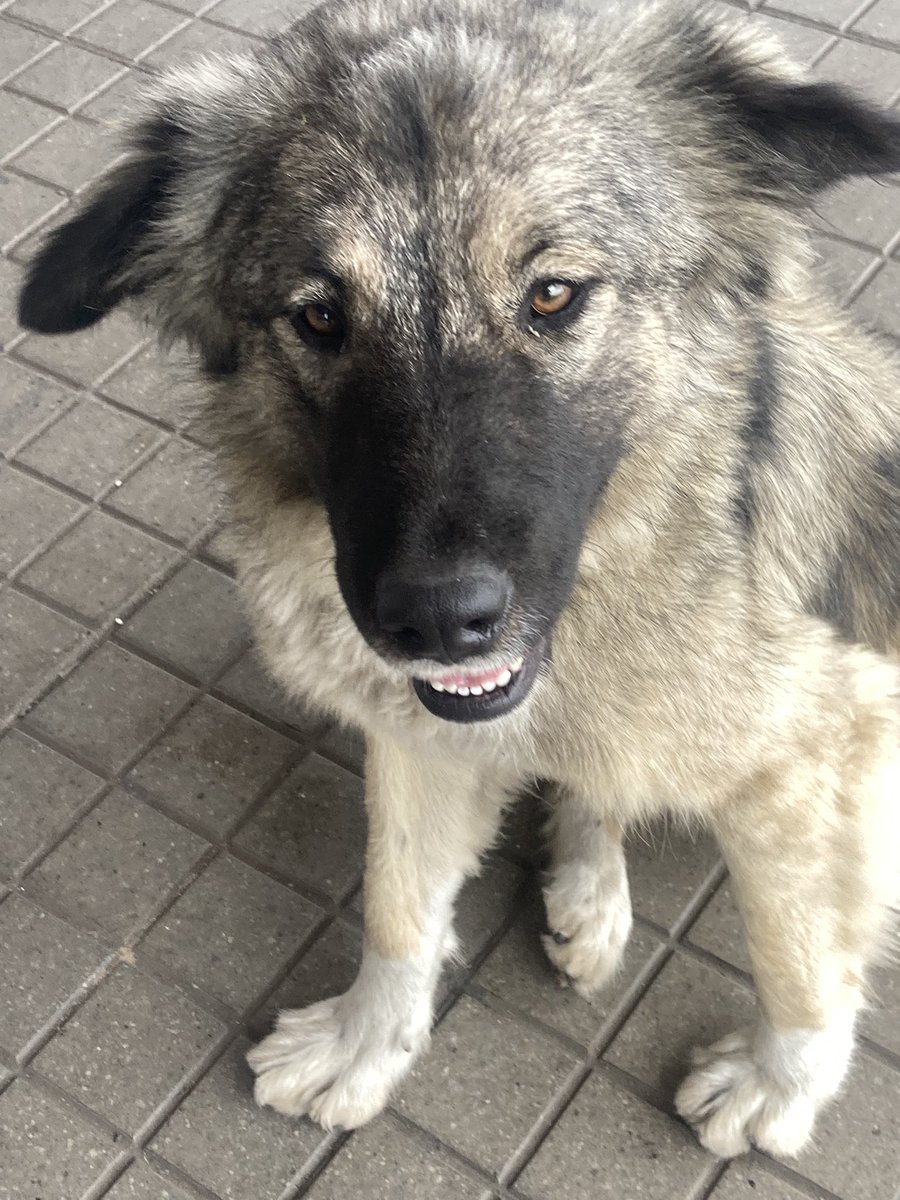 Maritza B. tweet media