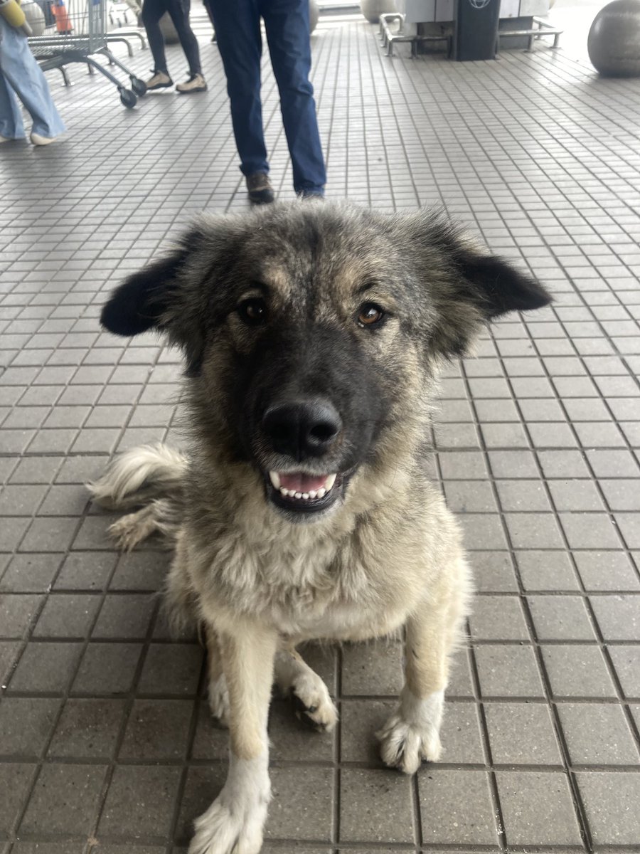 Maritza B. tweet media