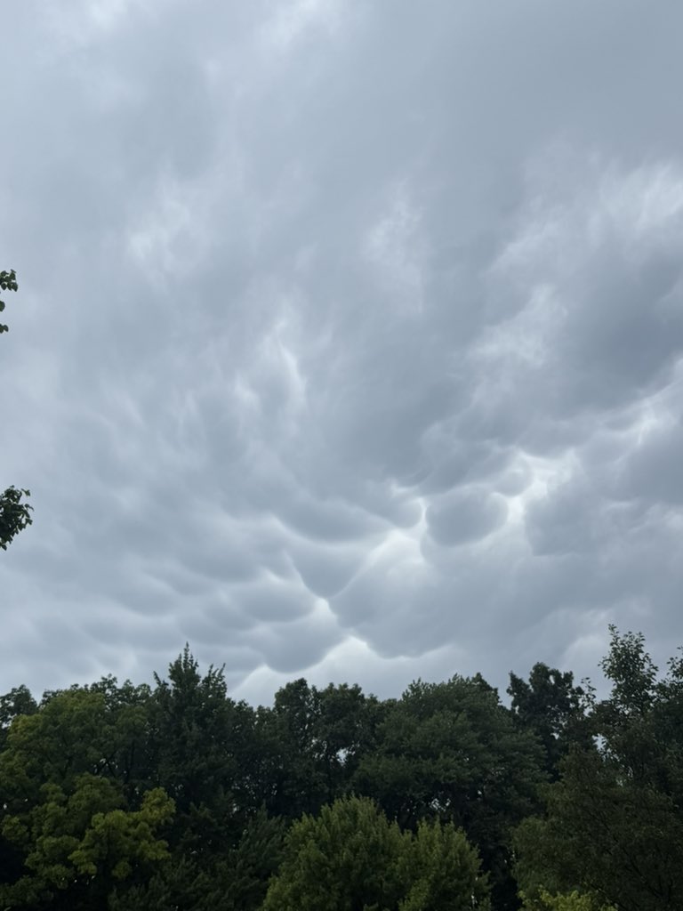 RARE CLOUD ALERT!

Mammatus clouds formed following this afternoons storms. They form when cold, dense air sinks into the warm air underneath a big thunderstorm’s anvil top. They look like big clouds of popcorn!

My second favorite cloud!