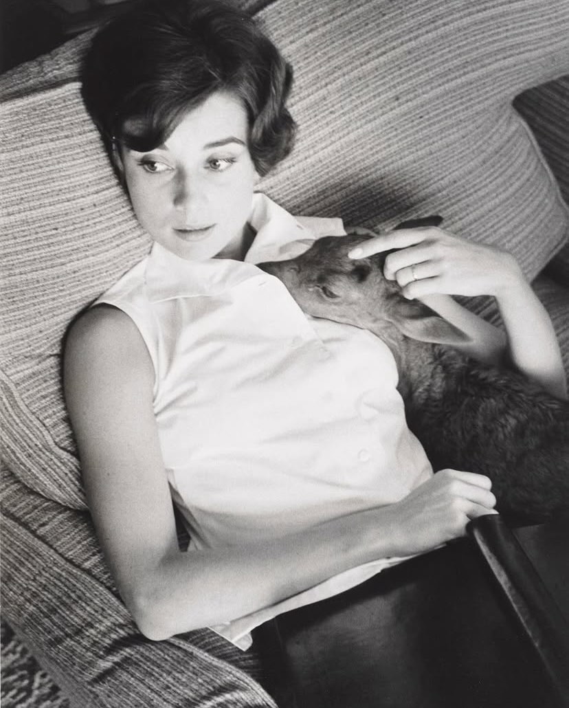 Audrey Hepburn and Pippin photographed by Bob Willoughby at her Beverly Hills home, 1958