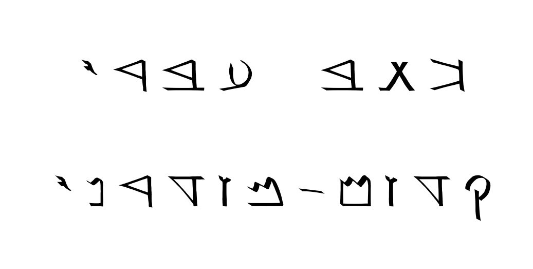 צור tweet media