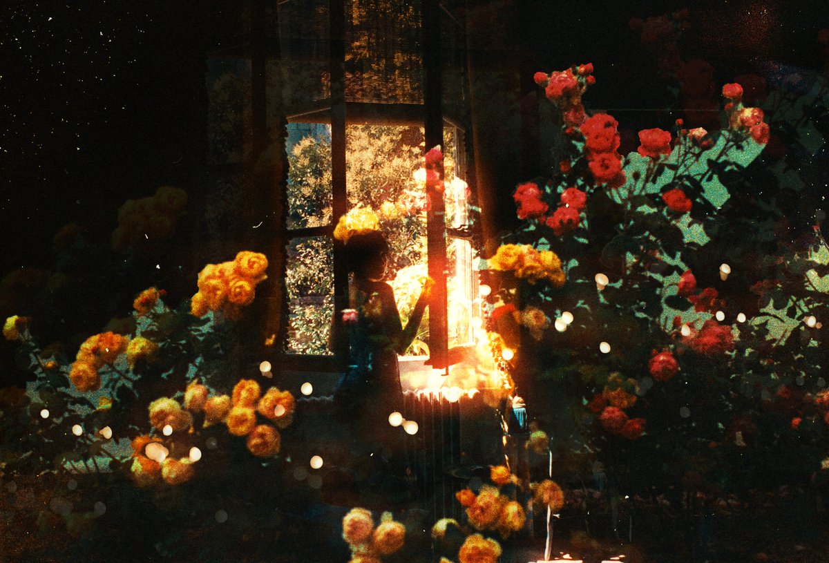 Window Garden by <a href="/buneeriee/">mayra rae 💐</a>