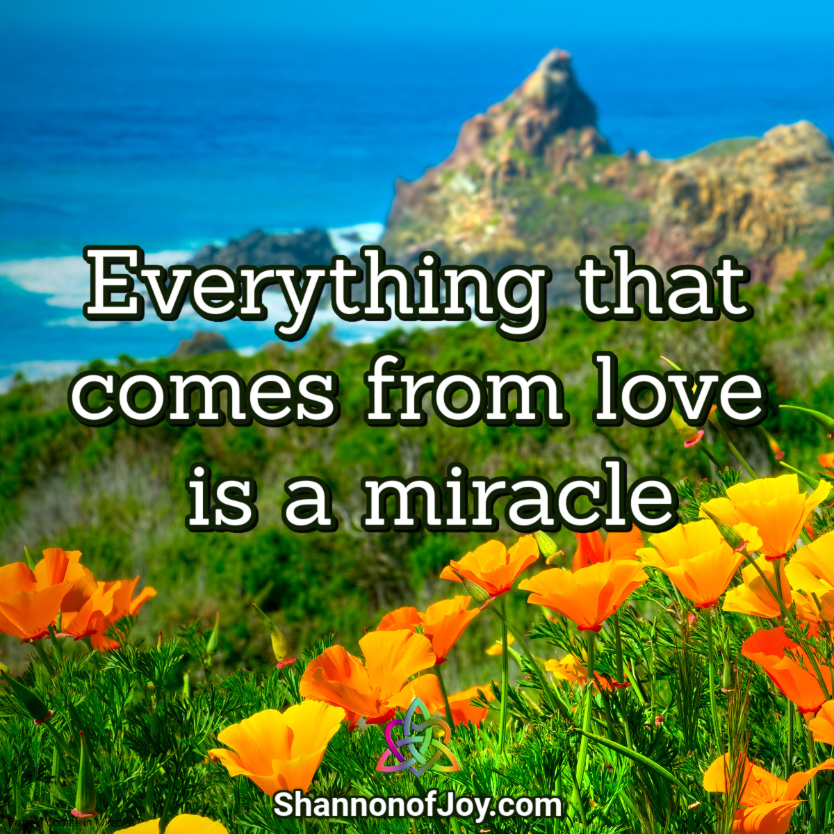 shannonofjoy's tweet photo. https://t.co/sTazcbyObt