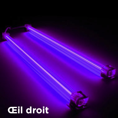 Je peux voir "la lumière noire".
Depuis une opération de la cataracte il y a 20 ans, mon oeil gauche perçoit la lumière un peu plus dans les ultra-violet que pour le commun des mortels.
Vous voyez les néons violets blafards des boites de nuits ? Ils m'apparaissent bleu intense.