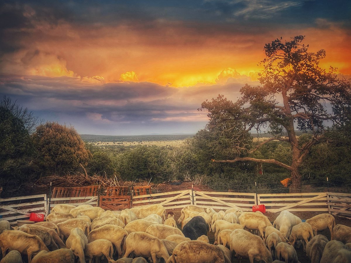 Cimarron_Ranch's tweet image. Monsoon season skies.