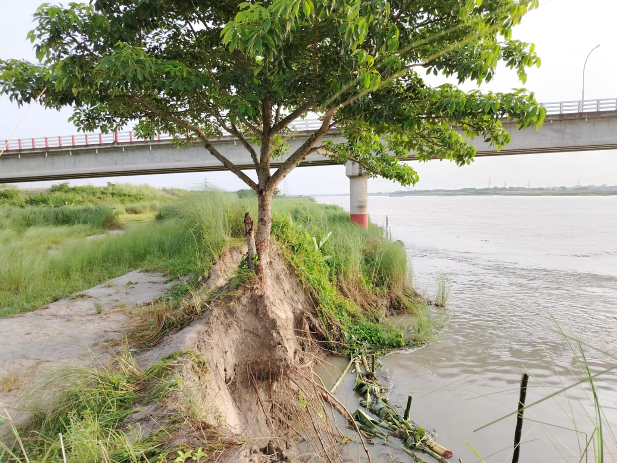 শিবচরে আড়িয়াল খাঁ নদের সেতুর কাছে ভাঙন, নদী শাসন বাঁধ না থাকায় উদ্বেগ