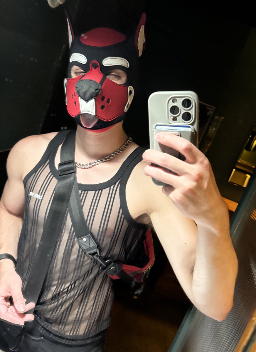 Puppy at that one mirror again because pup social ☺️