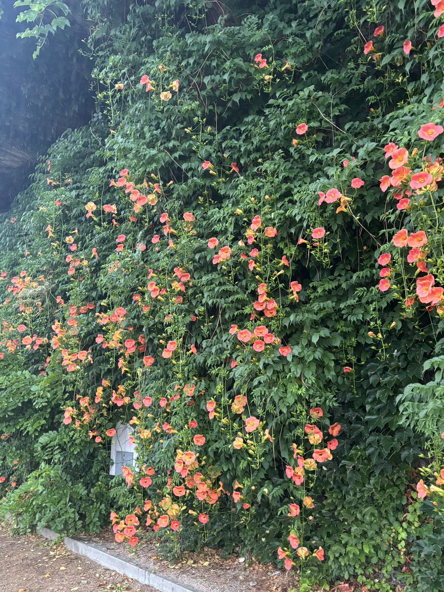snooze_z_'s tweet photo. 여름 시작
ㄴ… 거절합니다 https://t.co/tM10QIOCs2