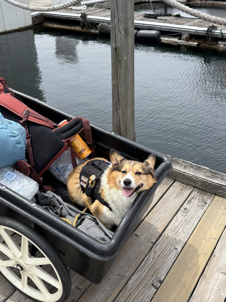 WinstonCorgiDog's tweet image. Happy Saturday Corgi Dog Winston-Family!☀️🐶✌🏻 Hope You’re All Well and Having a Great Weekend!💕 Peace and Blessings💌❤️ #Happy #Saturday #Corgi #Dog #Family