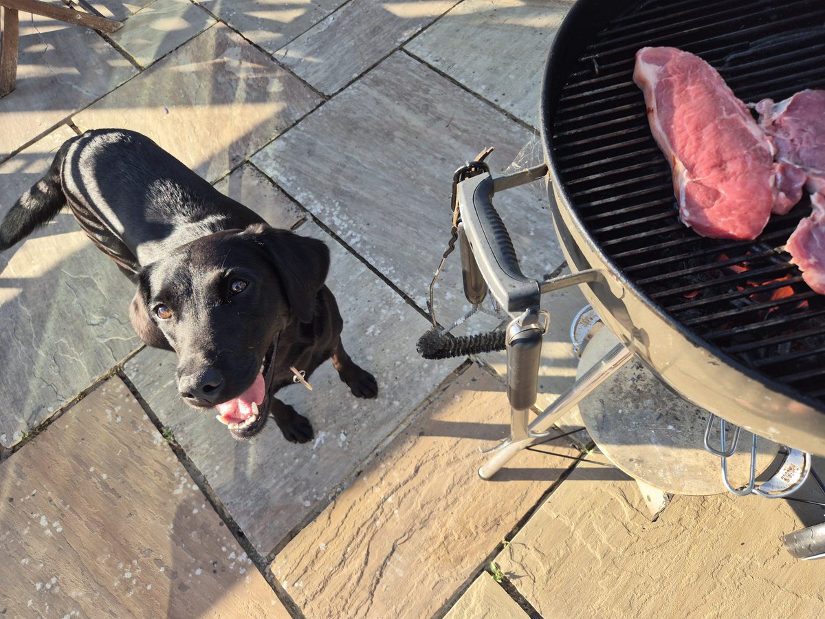 CThomas663's tweet photo. Ever hopeful.
#BeerMeatFire https://t.co/bAfNh2WOV7