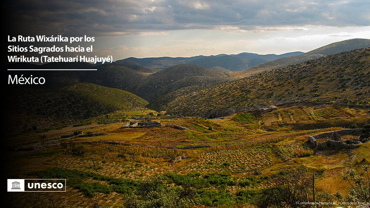 👏🏿¡#México está de fiesta!

🔴La Ruta Wixárika por los Sitios Sagrados hacia el Wirikuta (Tatehuarí Huajuyé) es ahora #PatrimonioMundial.

👉🏿México suma ya 36 registros.

Con 20 componentes, la ruta marca un hito de justicia para #PueblosIndígenas...🧵