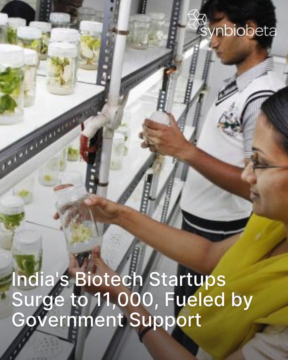 SynBioBeta's tweet image. India's Biotech Startups Surge to 11,000, Fueled by Government Support. India's biotech startup ecosystem has skyrocketed from 50 in 2014 to nearly 11,000 by 2025, driven by supportive government policies and institutional collaborations. Union Minister Jitendra Singh highlighted…