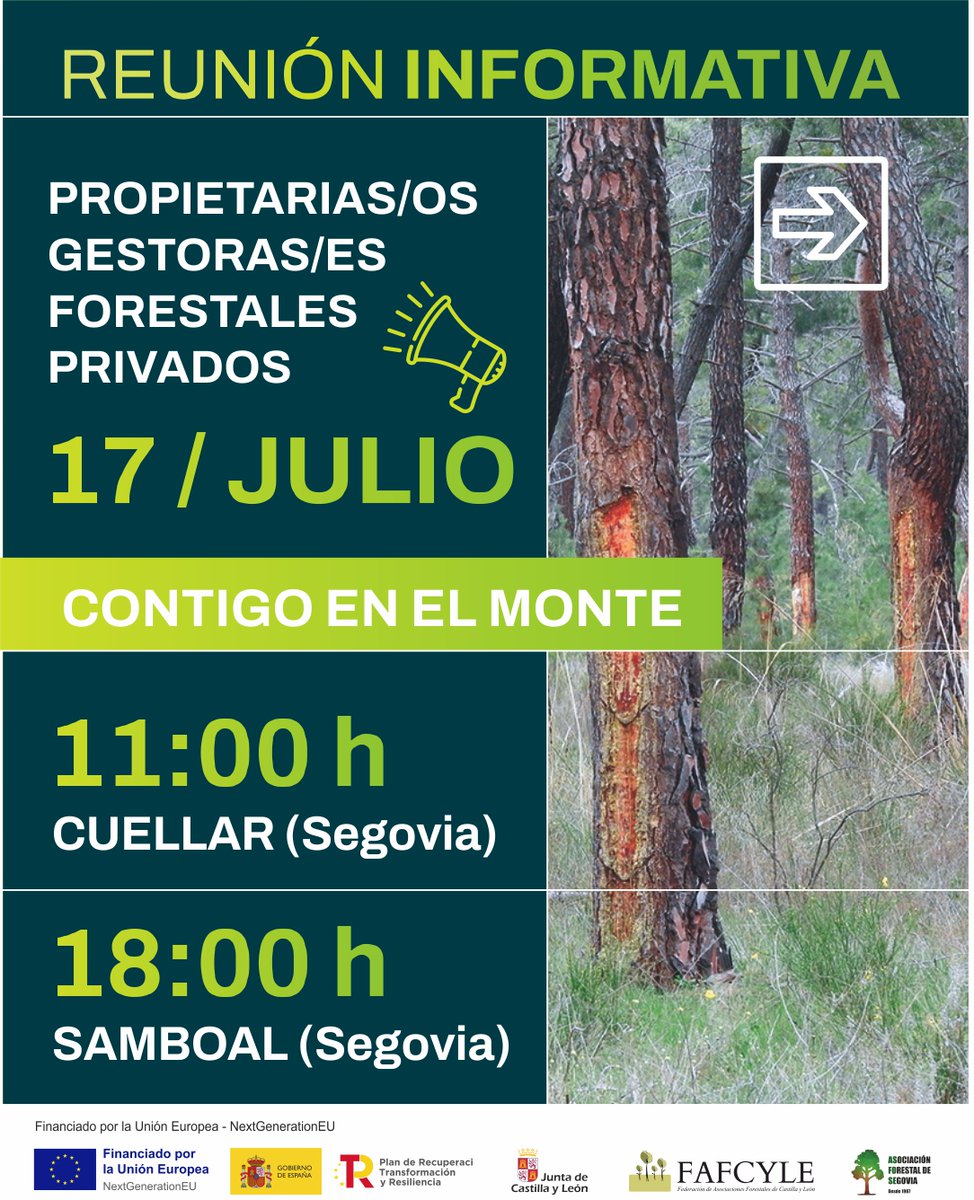 fafcyle's tweet image. 📣 Propietari@s y gestor@s forestales
#Fafcyle y @asfose estarán el próximo 🗓️ 17 de julio en #Cuellar y #Samboal
🗣️Hablaremos de las próximas ayudas para montes privados y el nuevo decreto de aprovechamientos. ¡¡Os esperamos!!