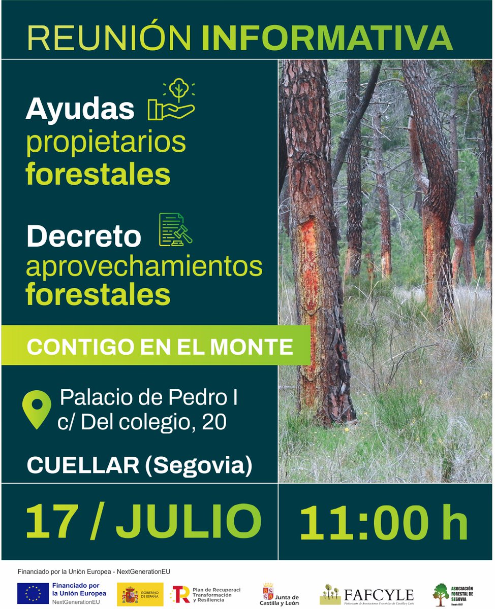 fafcyle's tweet image. 📣 Propietari@s y gestor@s forestales
#Fafcyle y @asfose estarán el próximo 🗓️ 17 de julio en #Cuellar y #Samboal
🗣️Hablaremos de las próximas ayudas para montes privados y el nuevo decreto de aprovechamientos. ¡¡Os esperamos!!