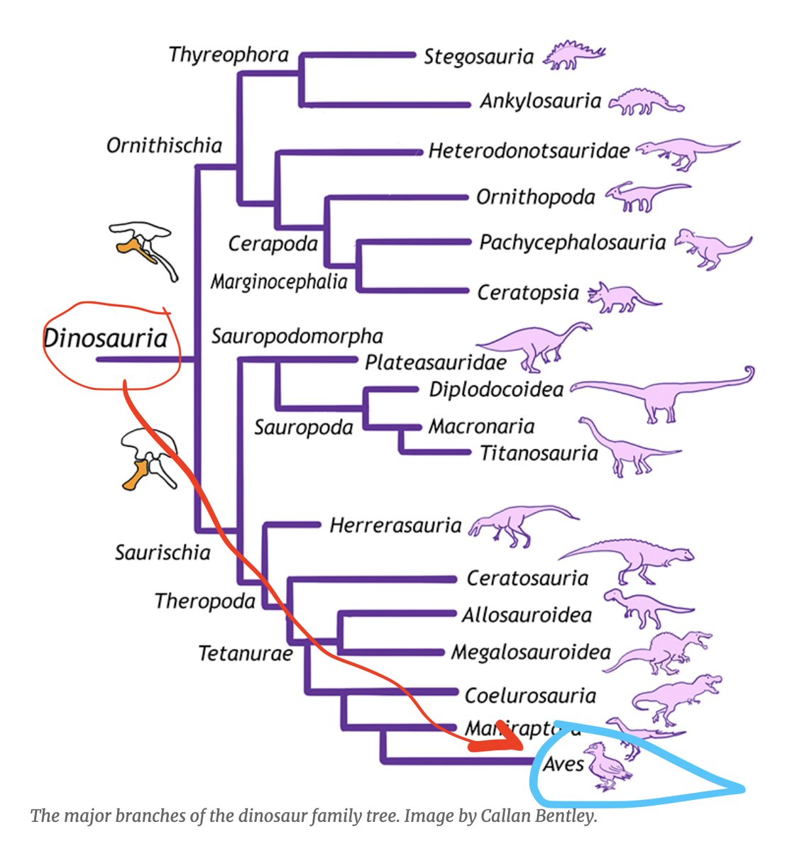 Stephen Ferguson tweet media
