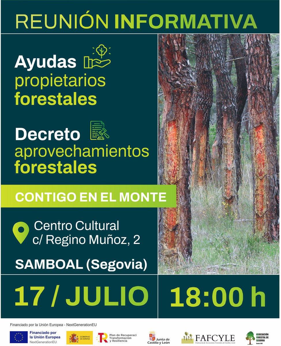 fafcyle's tweet image. 📣 Propietari@s y gestor@s forestales
#Fafcyle y @asfose estarán el próximo 🗓️ 17 de julio en #Cuellar y #Samboal
🗣️Hablaremos de las próximas ayudas para montes privados y el nuevo decreto de aprovechamientos. ¡¡Os esperamos!!