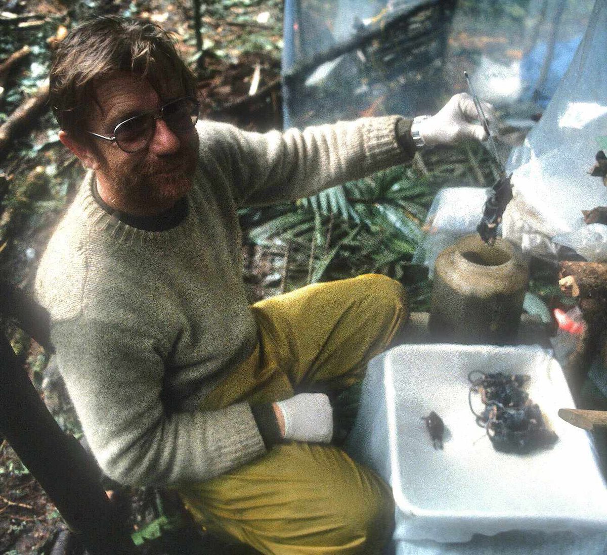 MWFB's tweet image. The MWFB mourns the passing of Ronald E. Cole, founding curator of the Museum of Wildlife and Fish Biology. He passed away at home among family. He was 85 years old. He was beloved by and gave so much to so many. 
We will miss you, Ron.

Photo: Ron in Papua New Guinea, 1985