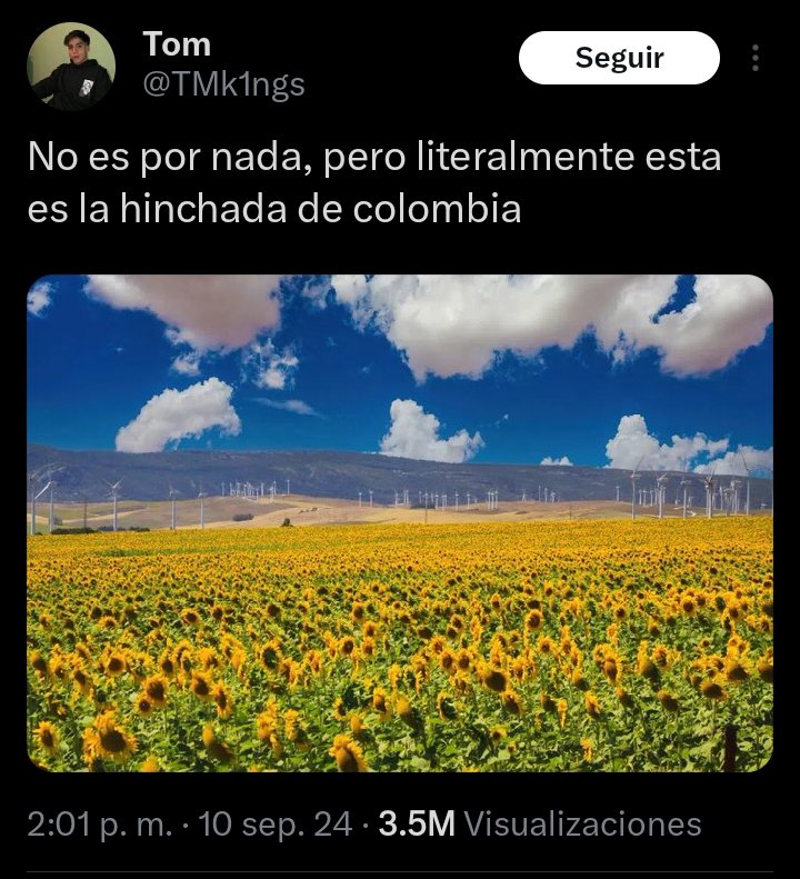 yoyonia_'s tweet photo. Coleccionando tweets de argentinos que creen que están insultando como si fueran tarjetas pokemon, son una joya https://t.co/MEJrpOMvJo