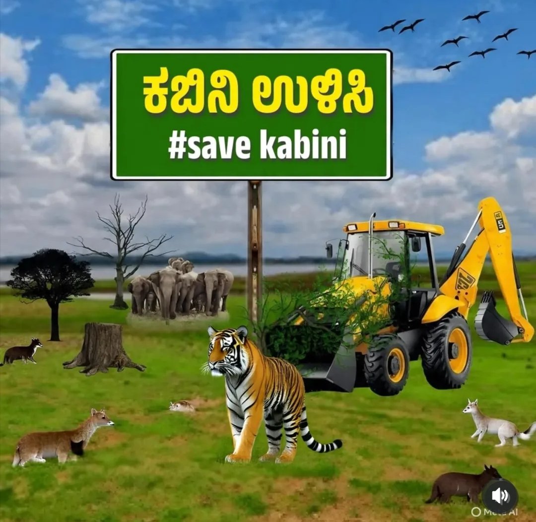 KumbakonamOoru's tweet photo. #SaveKabini is trending in Karnataka. Kabini forest is more important for our Cauvery Delta as it shares more water to Mettur dam. https://t.co/JJRJw1xhPJ