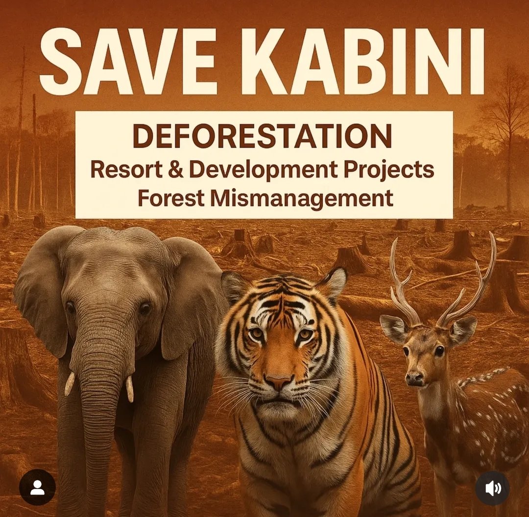 KumbakonamOoru's tweet photo. #SaveKabini is trending in Karnataka. Kabini forest is more important for our Cauvery Delta as it shares more water to Mettur dam. https://t.co/JJRJw1xhPJ