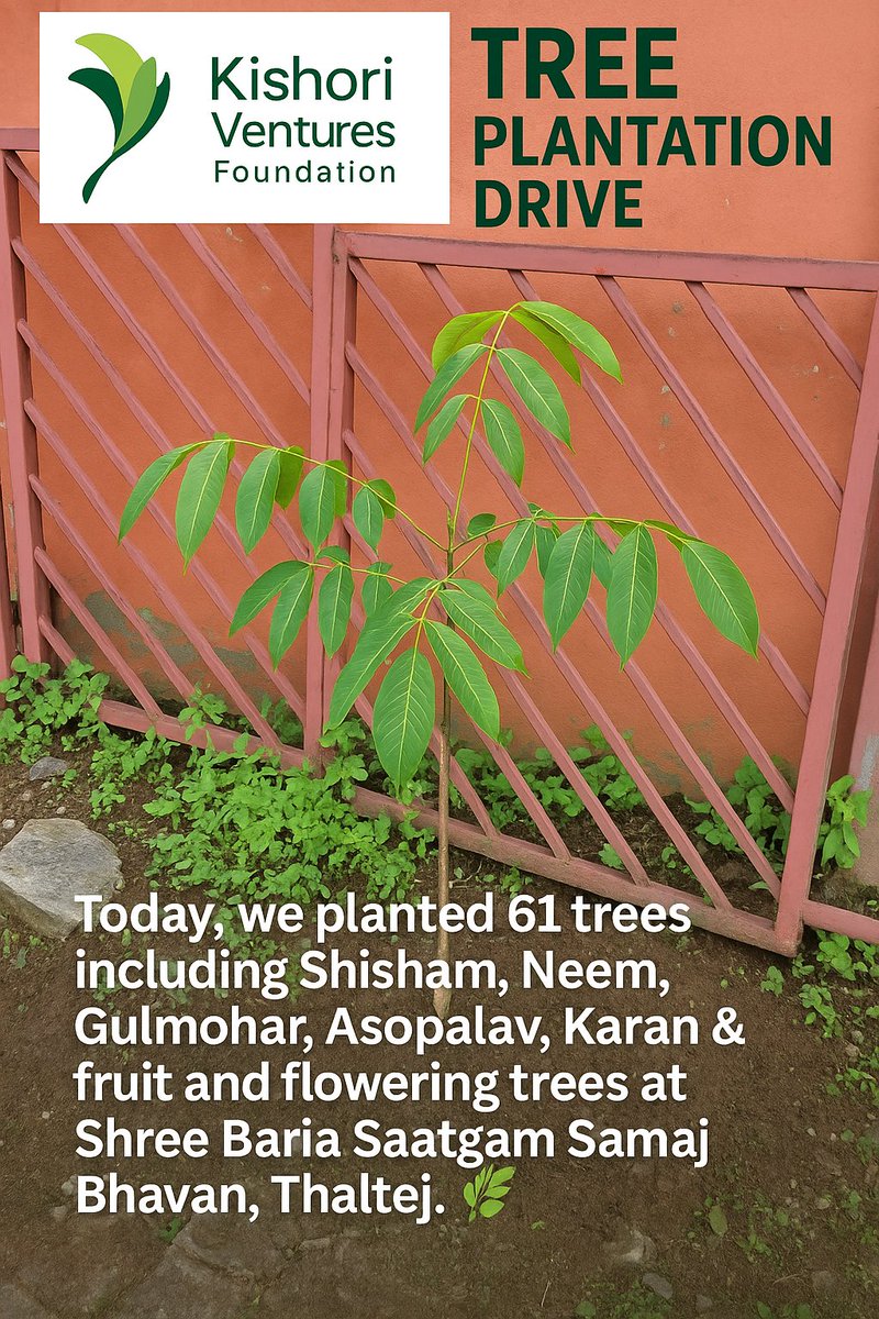 KVFofficial's tweet photo. 🌱 Tree Plantation Drive 🌳
Today, we successfully planted 61 trees including Shisham, Neem, Gulmohar, Asopalav, Karan, and several fruit and flowering trees at Shree Baria Saatgam Samaj Bhavan, Thaltej.

#thaltej #kishoriventures #Foundation https://t.co/qkwdUvAJxn