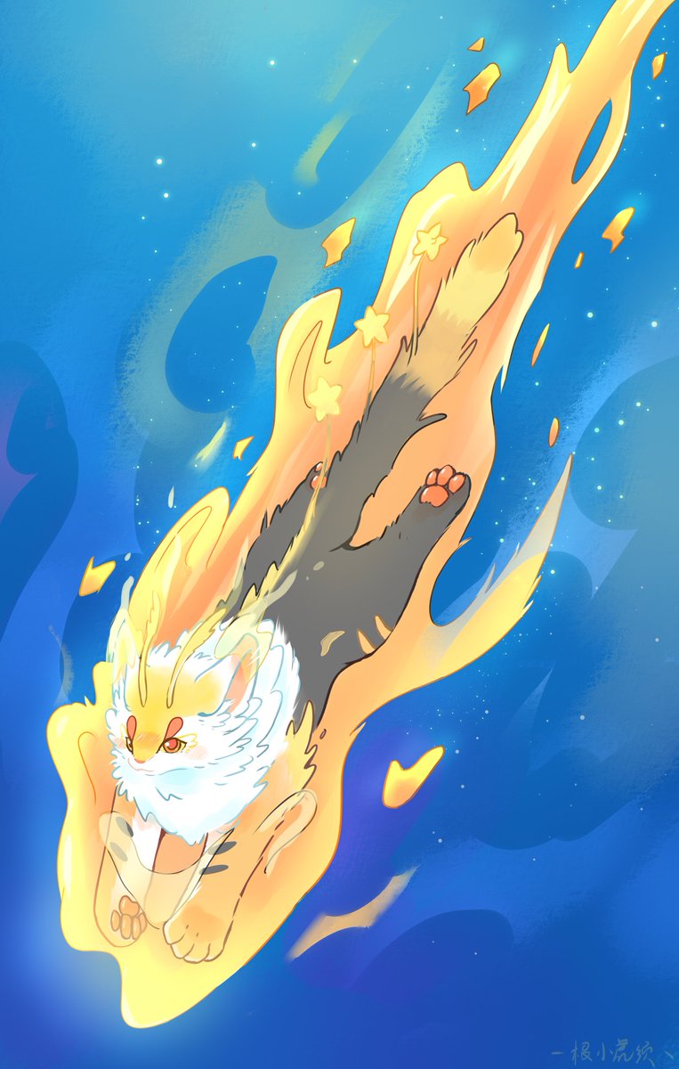 流星来了 #有兽焉 #youshouyan