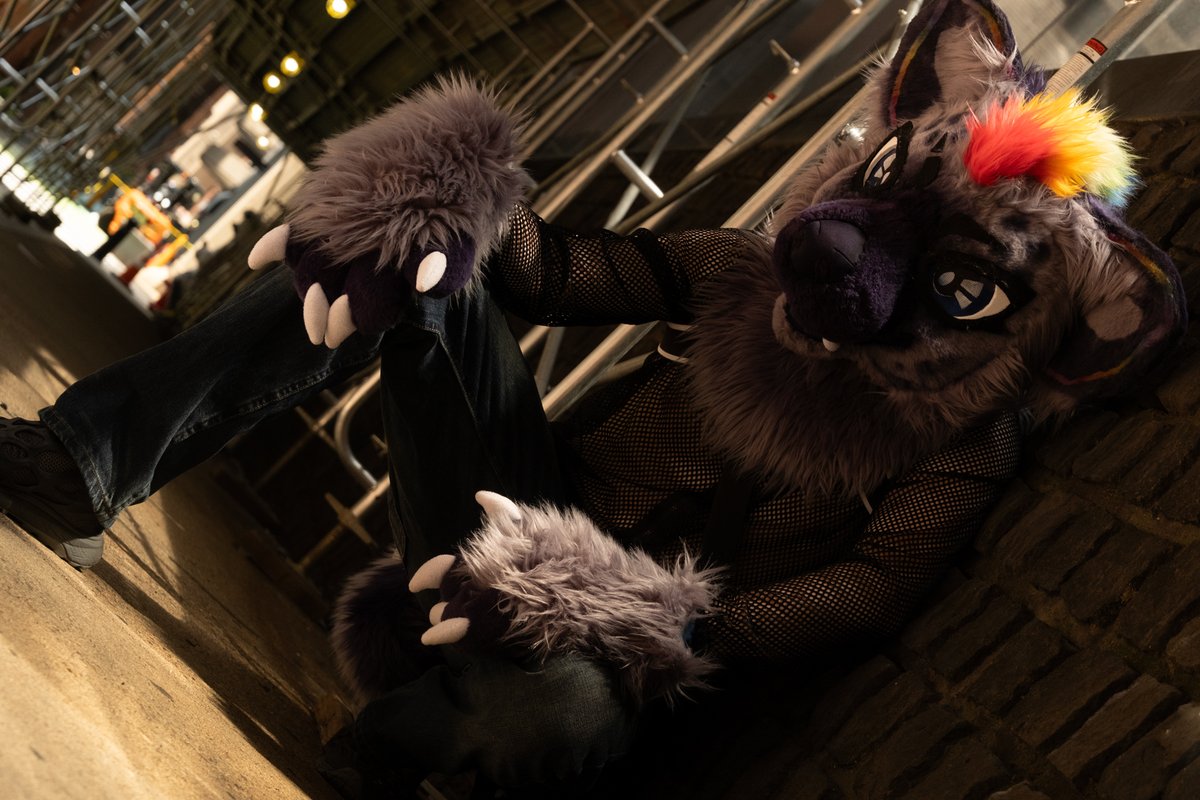Ymmotehl's tweet image. Have you seen this man?
Photo taken for: @hop_acre
#anthrocon2025 #anthrocon25