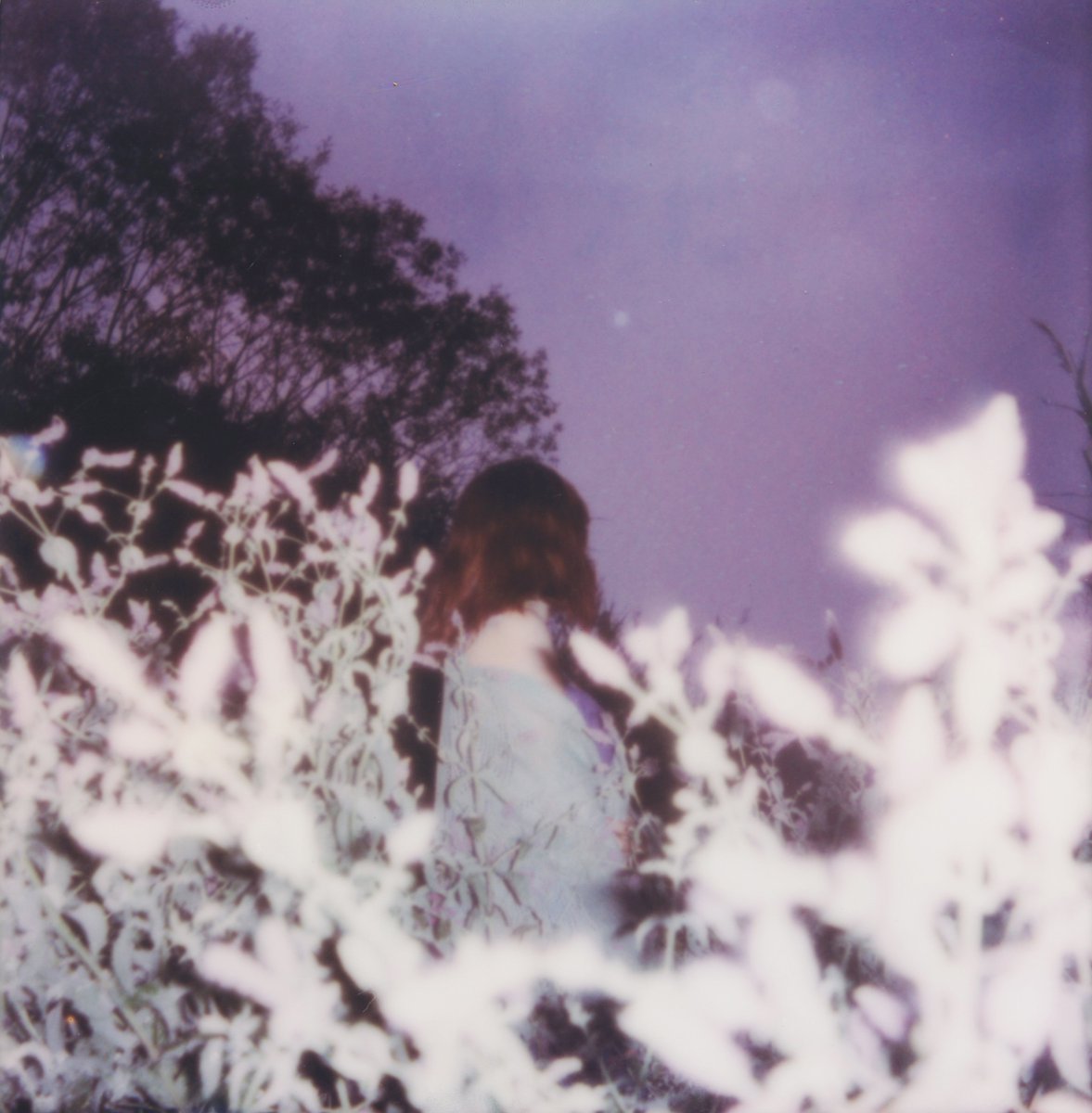 <a href="/buneeriee/">mayra rae 💐</a> <a href="/oum_photo/">ann.oum</a> <a href="/metarslan_/">Metin Arslan</a> Starlite relay*:･ﾟ/ Void Blossom
Luminous / 04:04 
by <a href="/serminmin/">minmin💫</a>