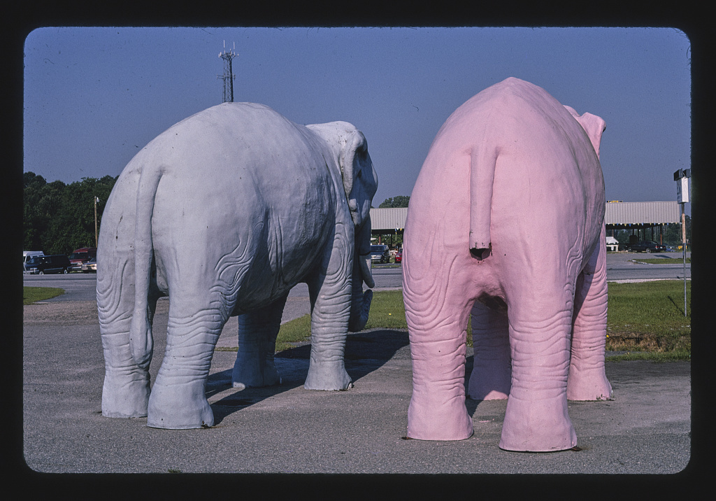billyglenn2000's tweet image. Papa Joe's Fireworks, elephants, Route 17, Hardesville, South Carolina
Margolies, John, photographer
2004.
#Photography
loc.gov/item/201770412…