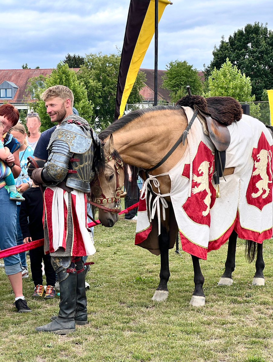 これは騎士様に構ってほしい馬。
#ビューディンゲン2025