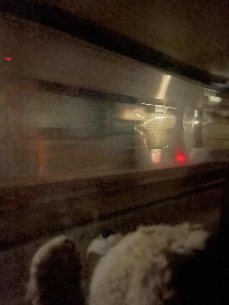 Spooky picture of going through the Lincoln Tunnel! (The camera got a little confused but you can still make Duffy out 😅)