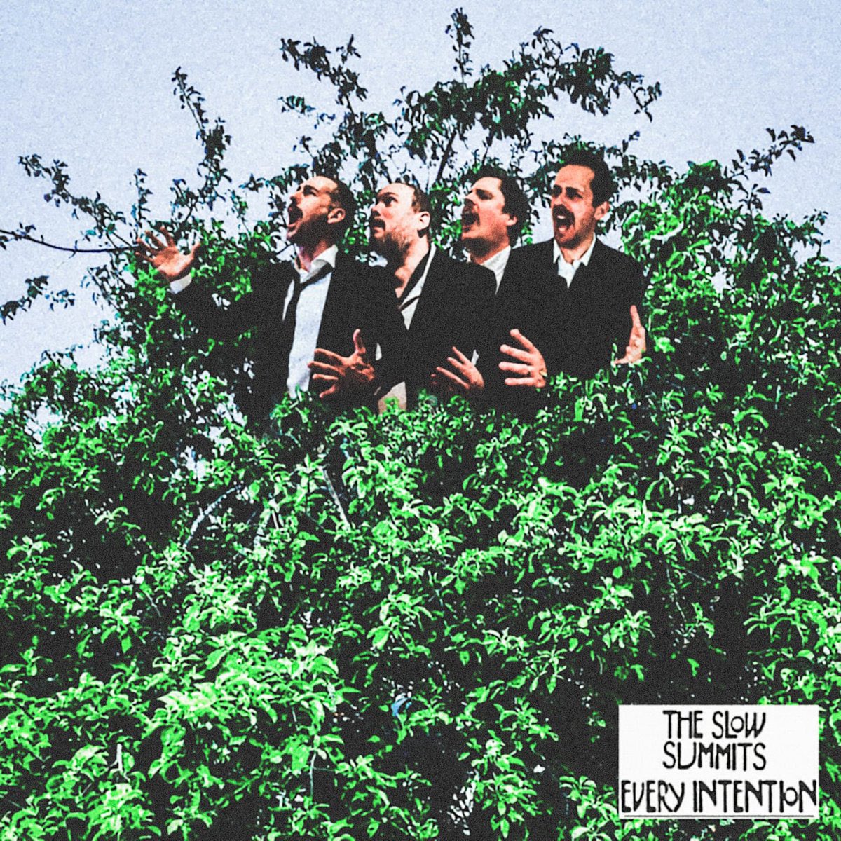 Psychotwee (@psychotwee) on Twitter photo Album of the Week
Every Intention by <a href="/theslowsummits/">The Slow Summits</a>
theslowsummits.bandcamp.com/track/dream-on Album of the Week
Every Intention by <a href="/theslowsummits/">The Slow Summits</a>
theslowsummits.bandcamp.com/track/dream-on