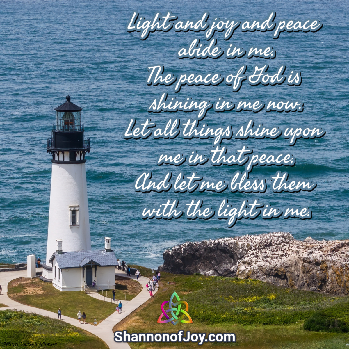 shannonofjoy's tweet photo. https://t.co/l7vDOpwCOO