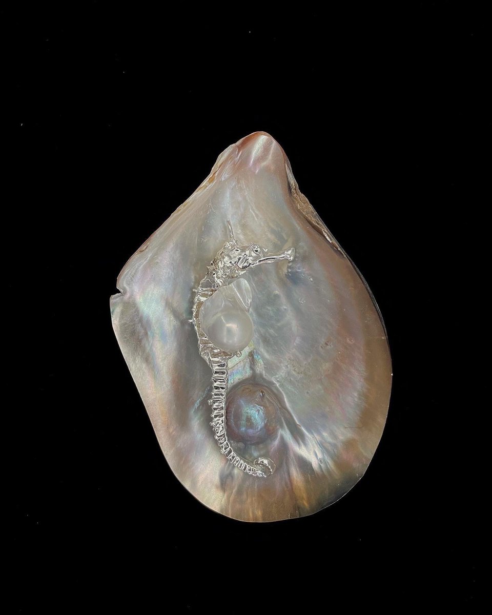 seahorse pendant, baroque pearl pouch, by moon and serpent