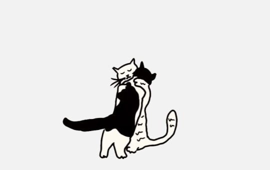 Kedileri öp, çiçeklerle konuş, taşlara tekme atma.